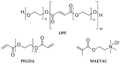  Oligo(Poly(Ethylene Glycol) Furanoate) : Un matériau prometteur pour l'ingénierie tissulaire !